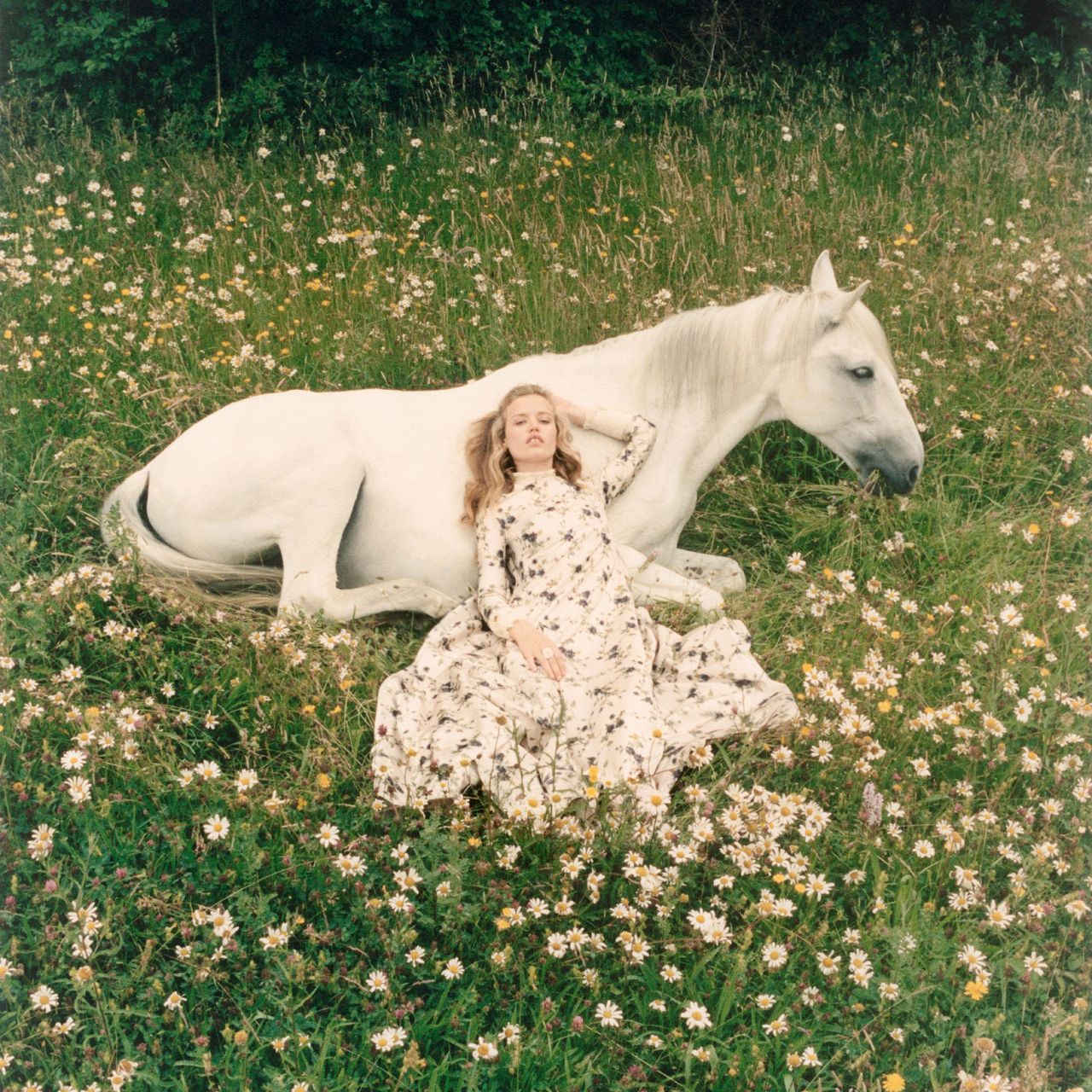 Saddle Up, This Is What The Year Of The Fire Horse Means For You