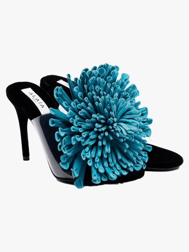 Image may contain: Clothing, Footwear, Shoe, High Heel, and Sandal